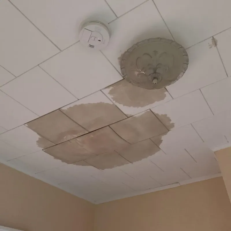 Ceiling Water Damage Repair in Farmer City, IL