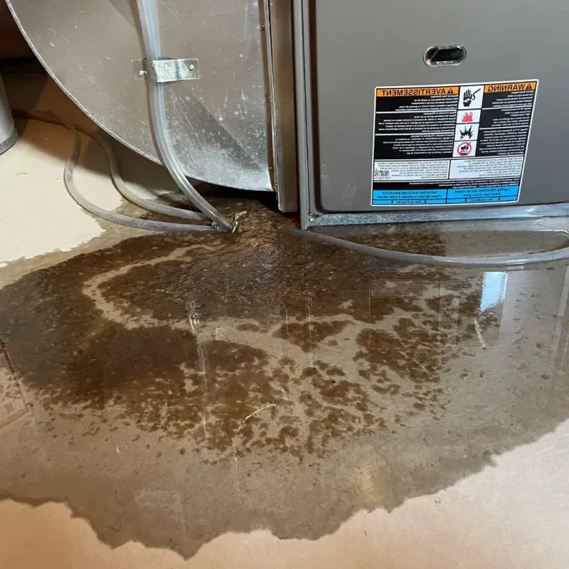 Pipe Burst and Leak Restoration in Farmer City, IL
